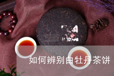 如何辨别白牡丹茶饼/2023120635047