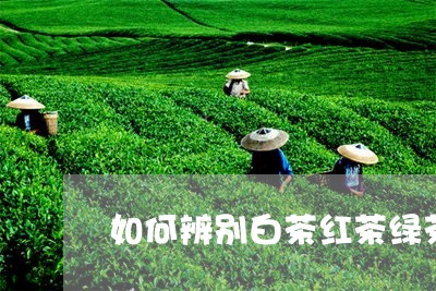 如何辨别白茶红茶绿茶/2023092850493