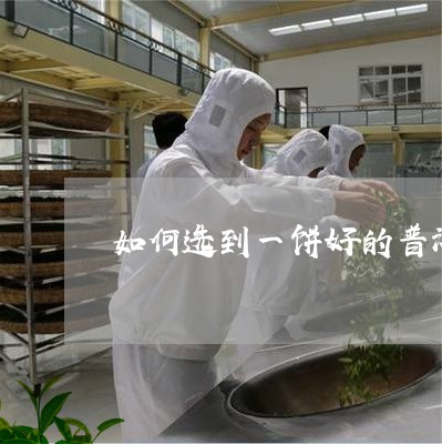 如何选到一饼好的普洱茶/2023110179493