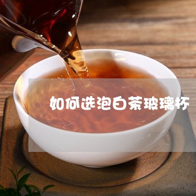 如何选泡白茶玻璃杯/2023081477048