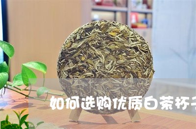 如何选购优质白茶杯子/2023092835058