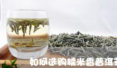 如何选购糯米香普洱茶/2023080190391