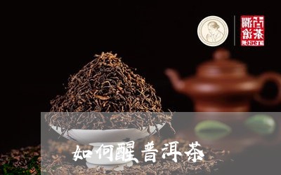 如何醒普洱茶/2023042962994