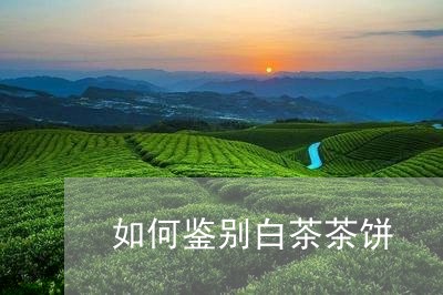 如何鉴别白茶茶饼/2023061794949