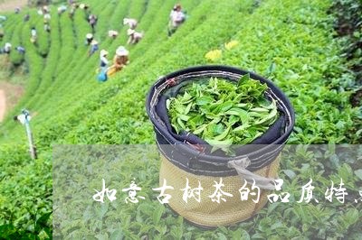 如意古树茶的品质特点/2023071605269