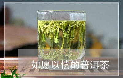 如愿以偿的普洱茶/2023102613015