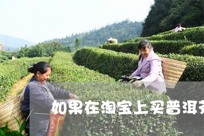 如果在淘宝上买普洱茶/2023092705938