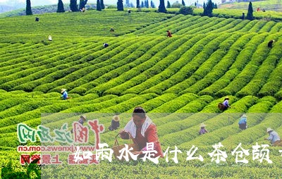 如雨水是什么茶仓颉号大益茶行情/2023060295138