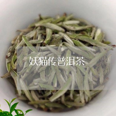 妖猫传普洱茶/2023042788730