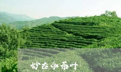 妙古今茶叶/2023041782051