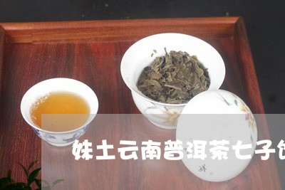 妹土云南普洱茶七子饼/2023092813846