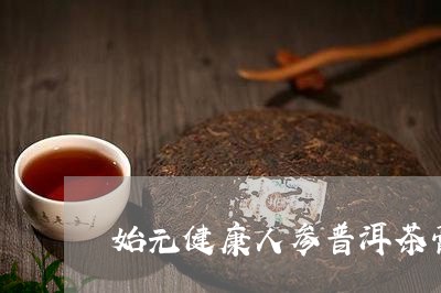 始元健康人参普洱茶膏/2023062068451