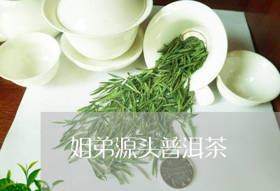 姐弟源头普洱茶/2023102673179