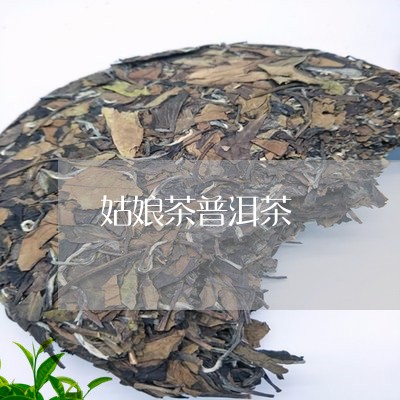 姑娘茶普洱茶/2023042893666