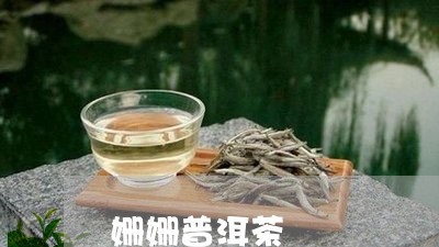 姗姗普洱茶/2023112635149