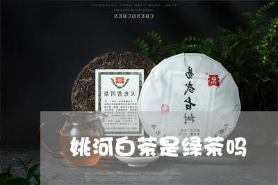 姚河白茶是绿茶吗/2023061735147