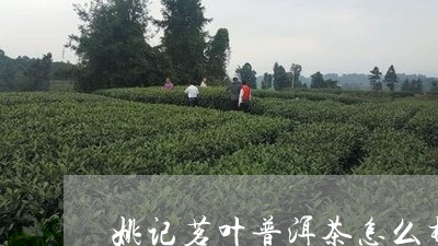 姚记茗叶普洱茶怎么样/2023061552916