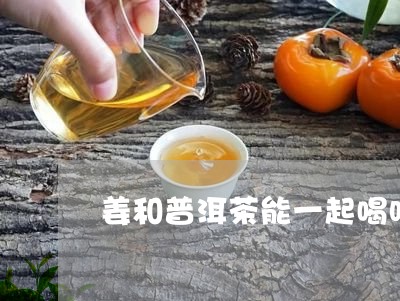 姜和普洱茶能一起喝吗/2023061404259