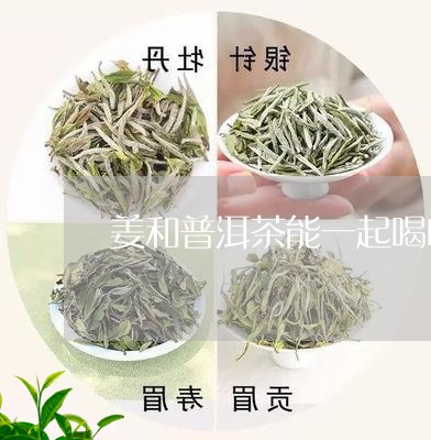 姜和普洱茶能一起喝吗/2023092688395