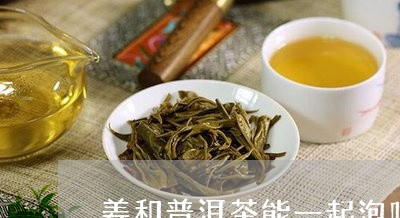 姜和普洱茶能一起泡吗/2023092587472