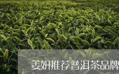 姜妍推荐普洱茶品牌是什么/2023112677370