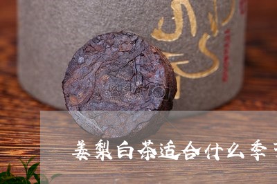 姜梨白茶适合什么季节/2023093076157