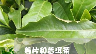 姜片和普洱茶/2023081815939