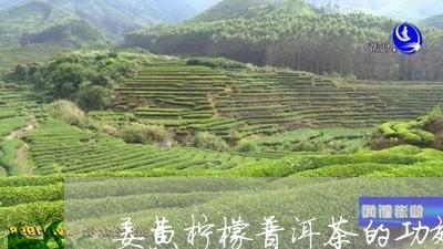 姜黄柠檬普洱茶的功效和作用/2023052905269