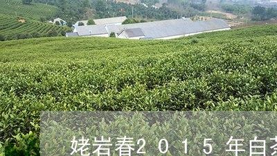 姥岩春2015年白茶/2023092772826