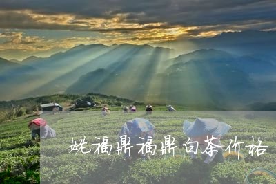 姥福鼎福鼎白茶价格/2023092048603