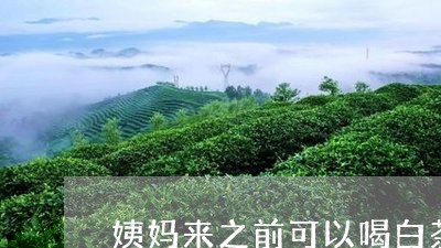 姨妈来之前可以喝白茶吗/2023102412823