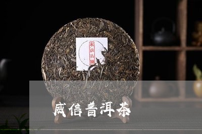 威信普洱茶/2023090506360