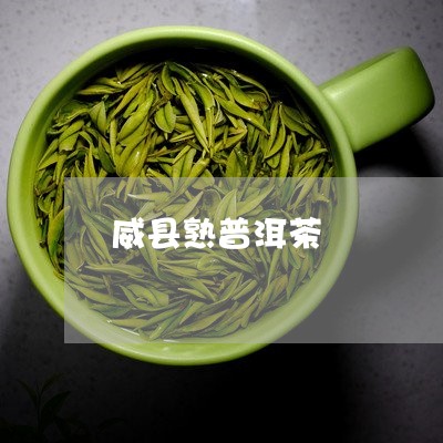 威县熟普洱茶/2023042602341