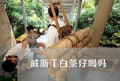 威斯丁白茶好喝吗/2023061747258