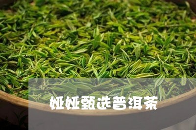 娅娅甄选普洱茶/2023081508379