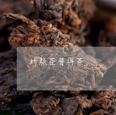 娇颜茶普洱茶/2023042848504