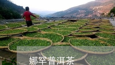 娜罕普洱茶/2023090655068