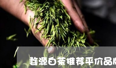 婺源白茶推荐平价品牌/2023093008460