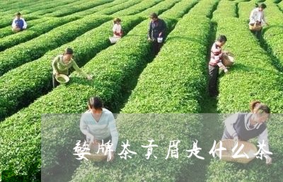 婺牌茶贡眉是什么茶/2023120376051