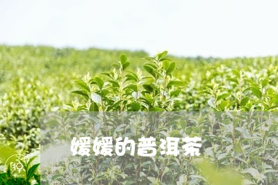 媛媛的普洱茶/2023102565571