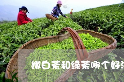 嫩白茶和绿茶哪个好泡/2023093031703