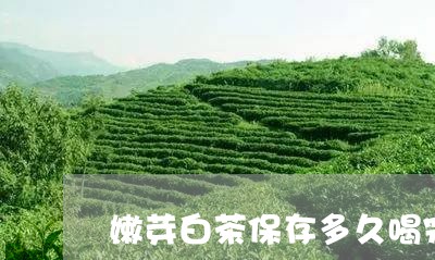 嫩芽白茶保存多久喝完/2023093097471