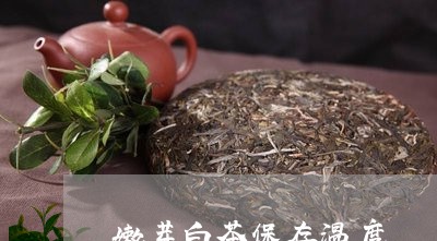 嫩芽白茶保存温度/2023061792026