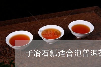 子冶石瓢适合泡普洱茶/2023092735271