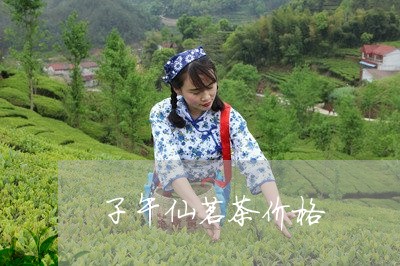 子午仙茗茶价格/2023050135548