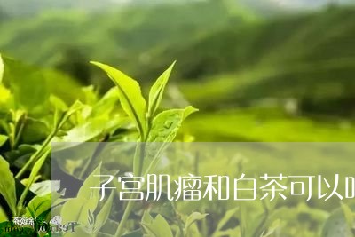 子宫肌瘤和白茶可以吗/2023093083935