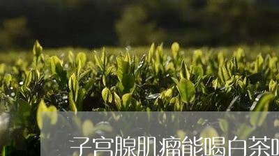 子宫腺肌瘤能喝白茶吗/2023093058270