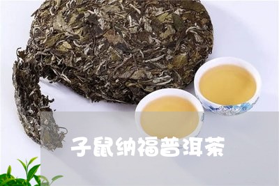 子鼠纳福普洱茶/2023102647160