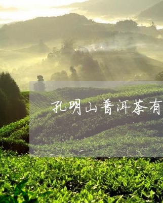 孔明山普洱茶有没有单株/2023110164824