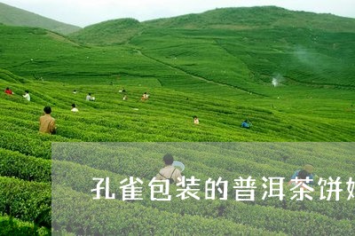 孔雀包装的普洱茶饼好不好/2023121698470